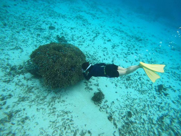 ドボンと潜る奥さん