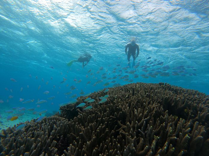 Nさんご夫婦です