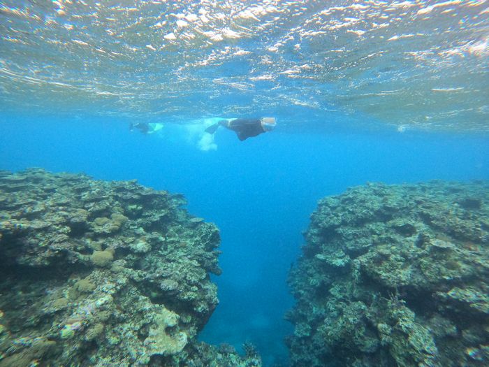 断崖絶壁もスコーンと