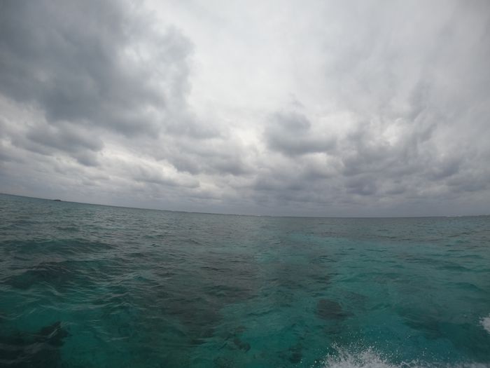 午後からも曇り