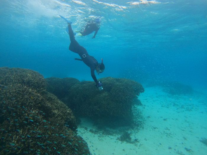 素潜りドボンを楽しんでいます。