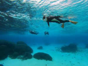 【11月の石垣島】初心者でも安心！快適に楽しむシュノーケリング完全ガイド