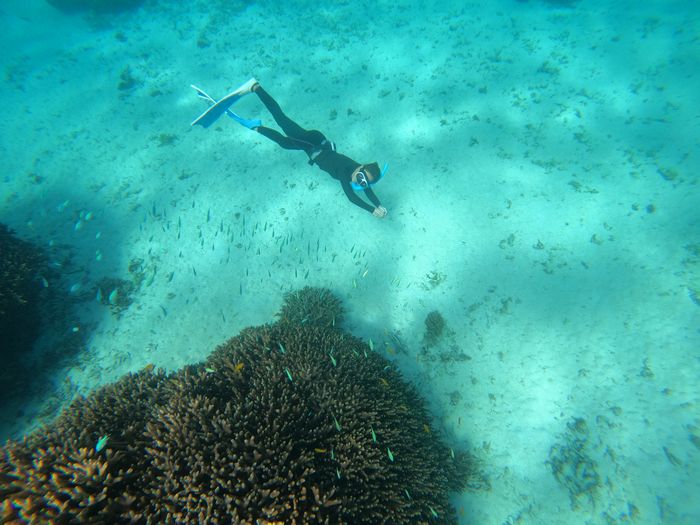 早速スキンダイビング