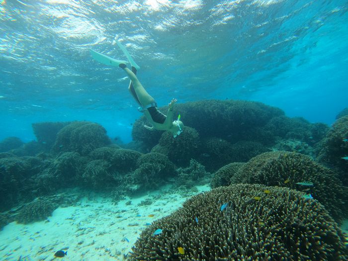 足がつっても潜る