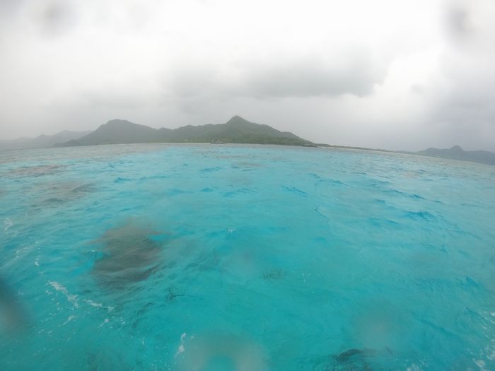 でも透明度は外しません！