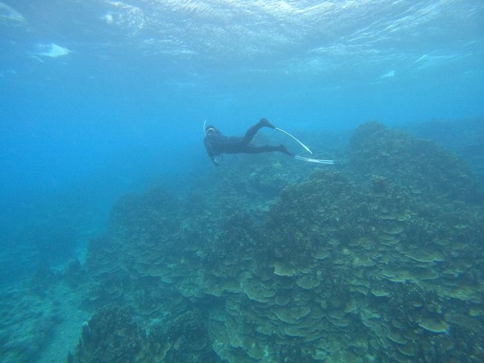 ぐいぐい潜る！