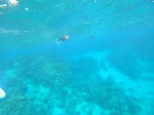 冬シュノーケリングは満足度高い理由は？