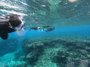 冬でも楽しめる装備、ご用意！潜り始めでシュノーケリングは雨♪