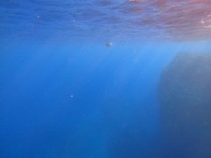 グラン・ブルー。「雄大な青」でした。