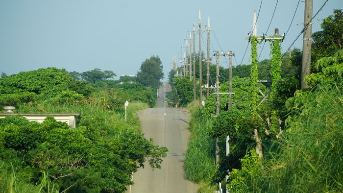 くねくね道は石垣島?