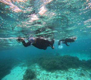 梅雨っぽい空模様♪水中世界には関係ありません♪