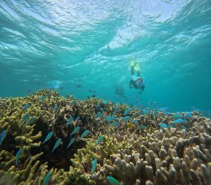 台風通過後の再開シュノーケリングは荒波体験ツアー！