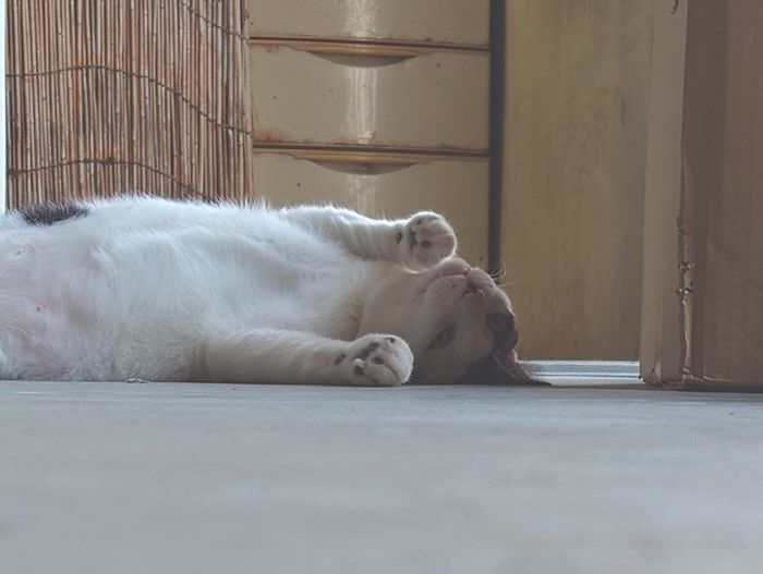 タマヘイがホラー映画みたいな顔してる