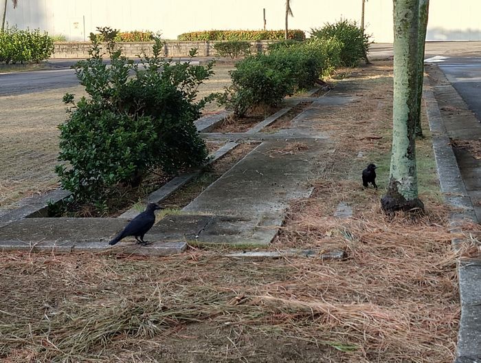 仲間がいれば安心ですね