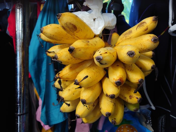 島バナナ、熟れています