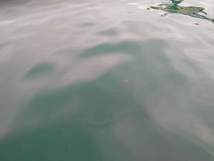 港、水面を眺めてみる