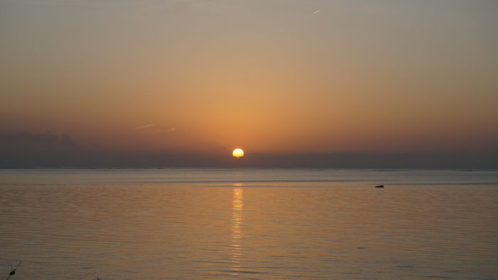 水平線から上る朝日は逃した