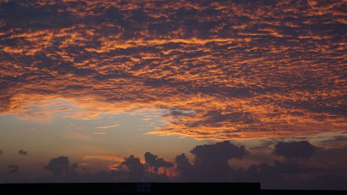 夕暮れではなく朝