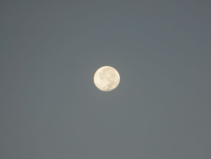 西の空には満月