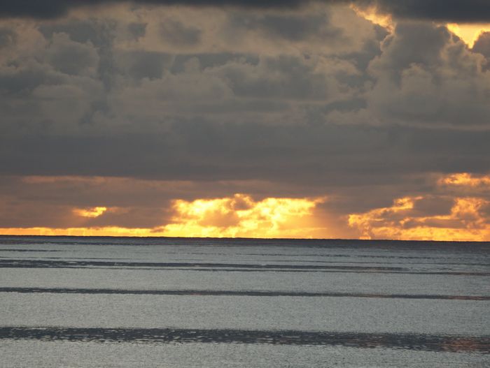 今日の朝日は。。