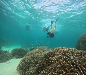 みーんなリピーターさん！サンゴとお魚、笑顔いっぱいシュノーケリング