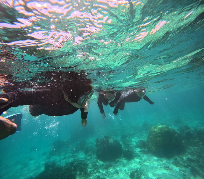 さぁコースを回っていきます。