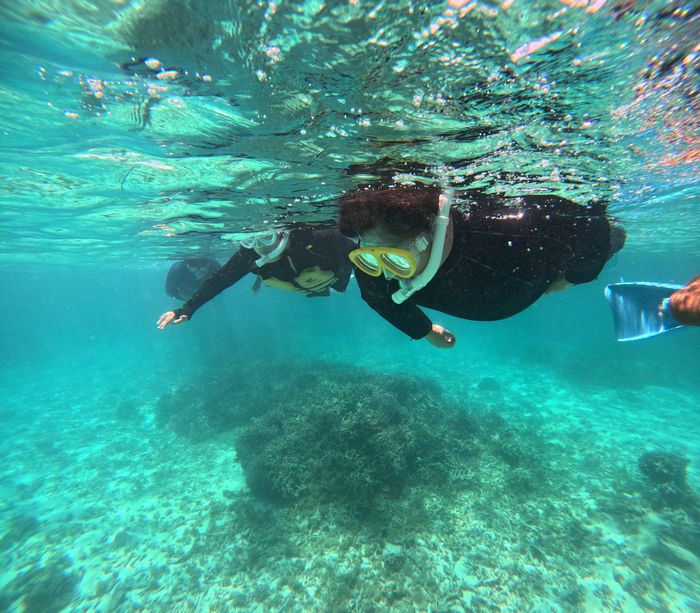 3年ブランク解消、大人チーム