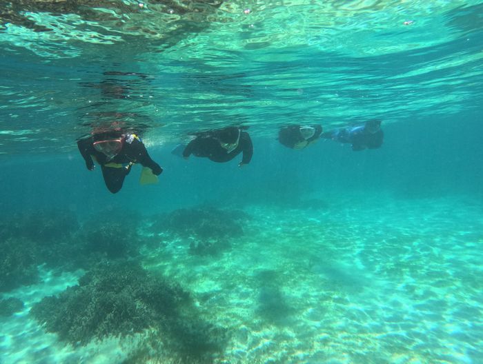 海を楽しんでいます。