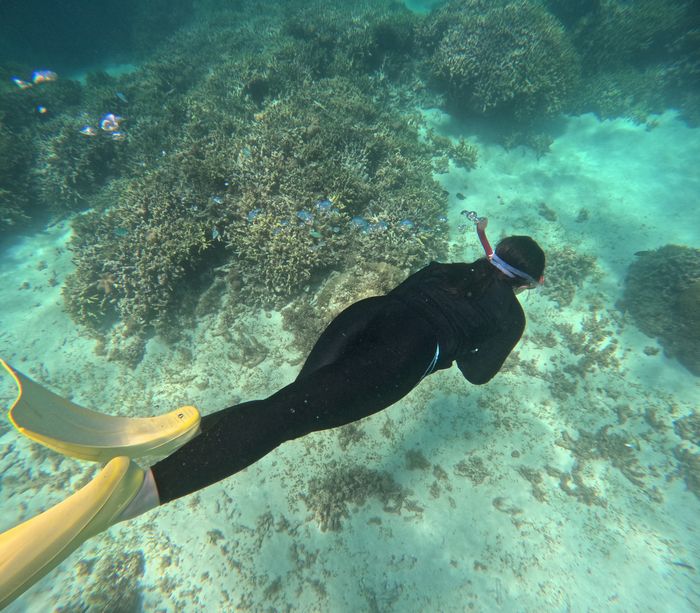 軽くサポートで潜る