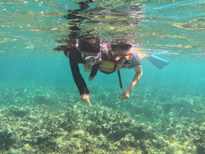 お父さんと泳ぐ