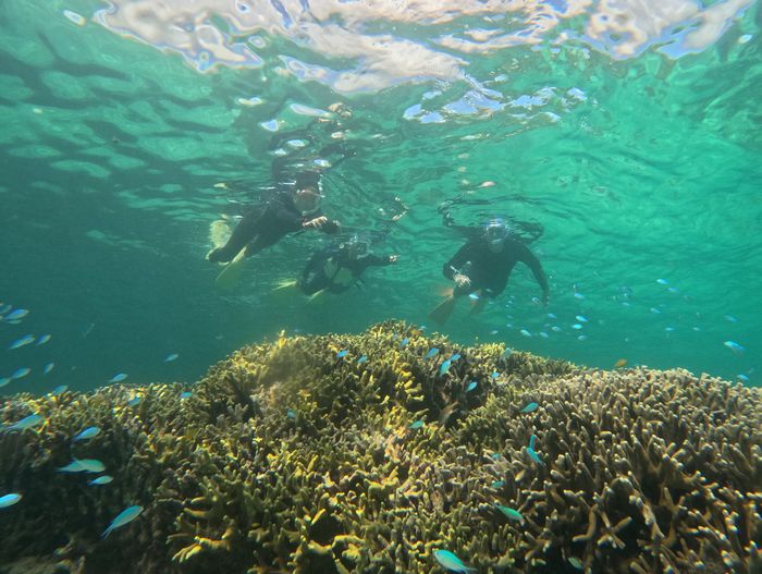 オランダからお越しのK倉さん