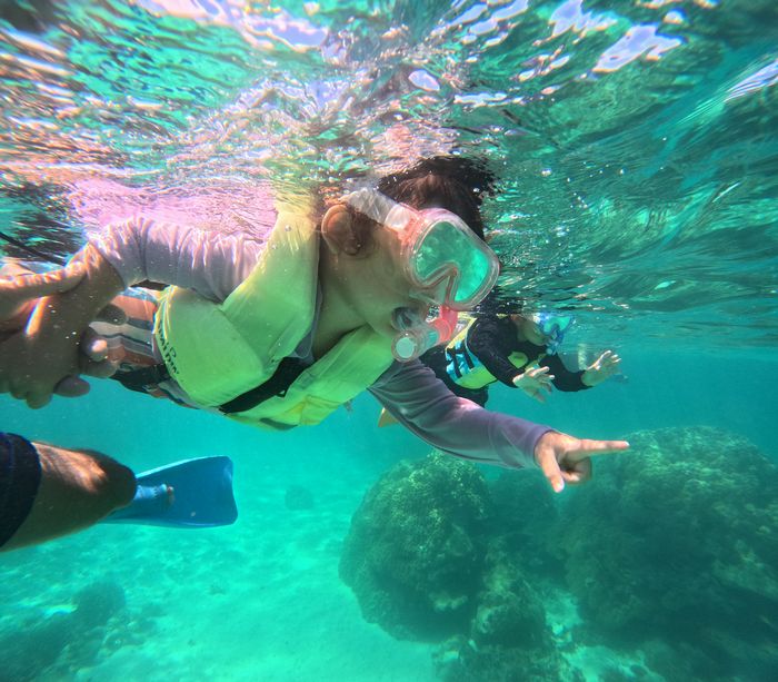 3歳マスクデビュー