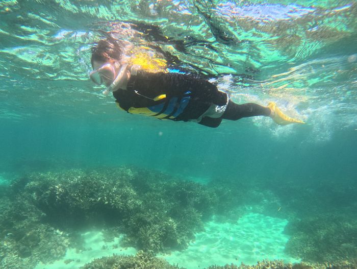 お母さんも楽しむ