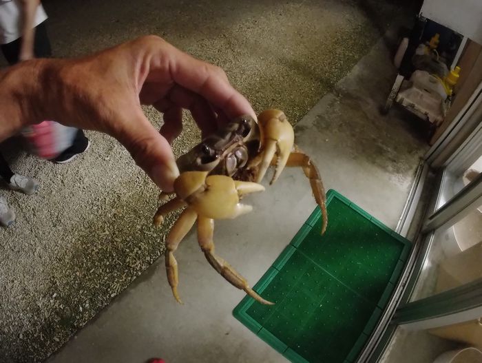 ちゃんと逃がしてあげましょう