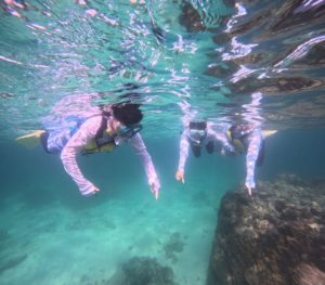 宿題？それは帰ってから！クマノミと遊んだ貸切シュノーケリング