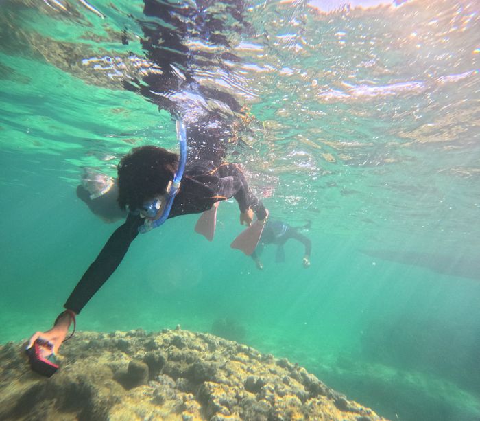 スパっと潜って撮影