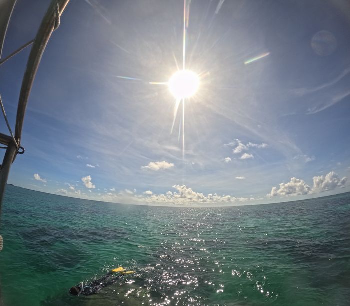 ぎらぎら太陽は健在