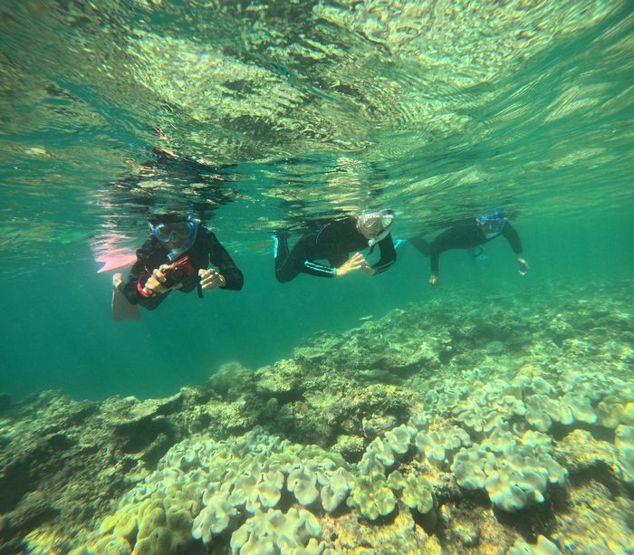 颯爽と泳ぎ始めて