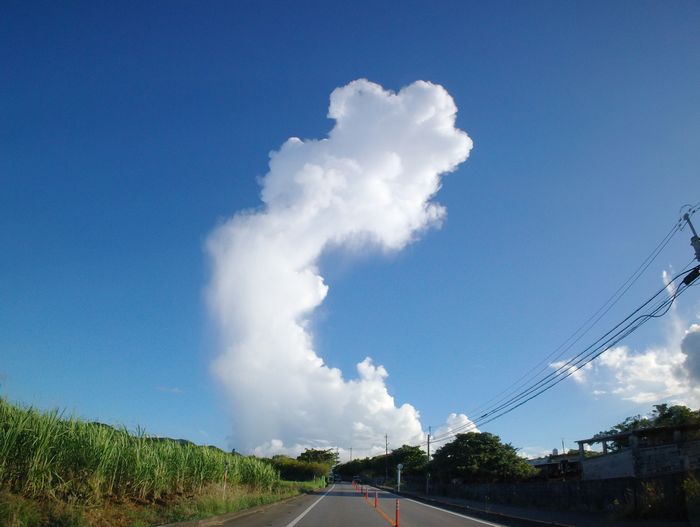 夏雲、伸びる