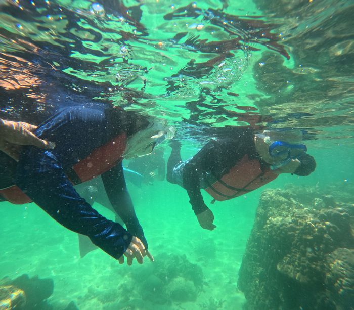 お父さんとお母さんも