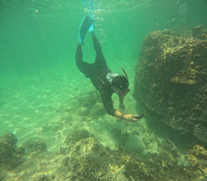 素潜りドボンのお兄ちゃん