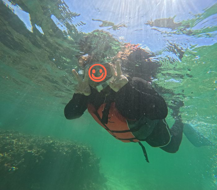 光のカーテンとともにピース