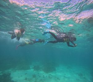 夏の石垣島、シュノーケリングを満喫の皆さん！