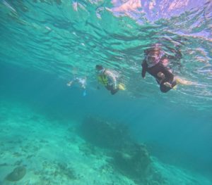 お魚さん1000匹見るまで帰れません♪