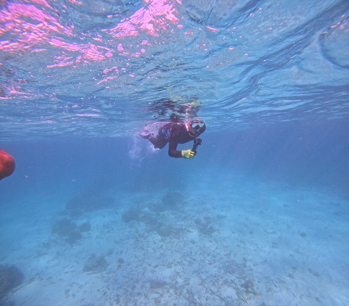 御年70歳！シニアシュノーケリング