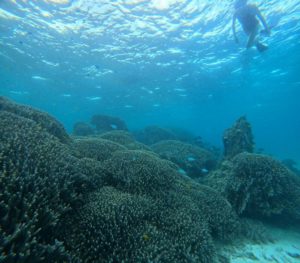 御年70歳シニアシュノーケリングから到着日ツアーまで♪