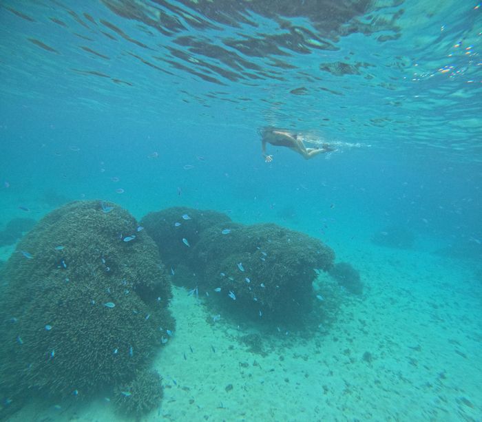 ぐいぐい泳ぎ回るMさん