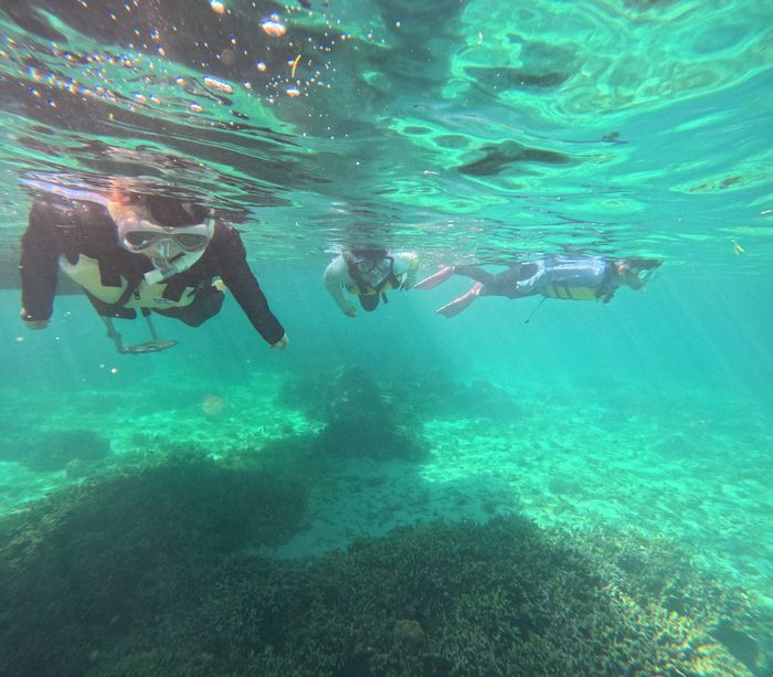 颯爽と泳ぎ始めていきます。