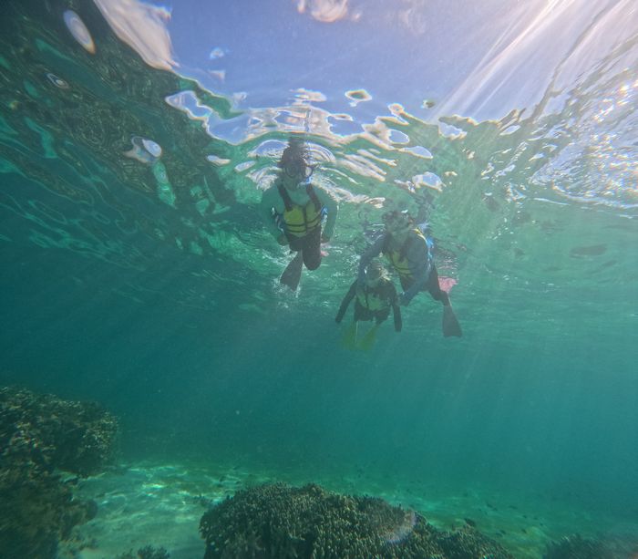 みーんなすいすい泳げるようになりました