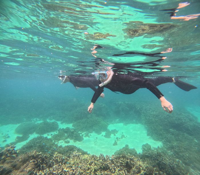 ゆったり楽しむお父さんとお母さん